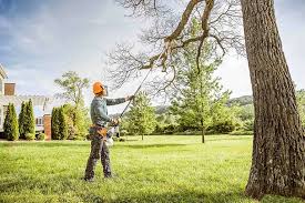 How Our Tree Care Process Works  in  Belwood, NC